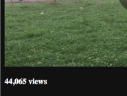 Toutes les vues vidéo