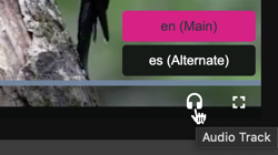 Définir la langue de la piste audio