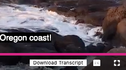 Télécharger la transcription