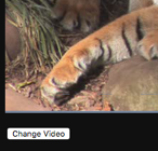 Changer dynamiquement les vidéos sources **