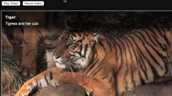 Lecture/pause vidéo depuis iFrame Parent
