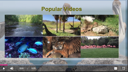 Vidéos populaires Overlay