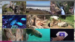 Vidéos associées via Tags