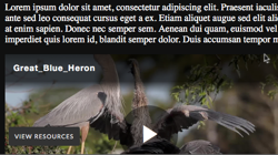 Faire défiler le lecteur dans la vue avec des publicités