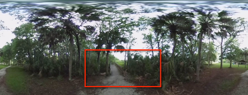 montrer une partie de la vidéo