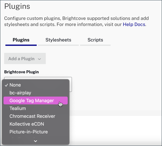 Plug-in Google Tag Manager